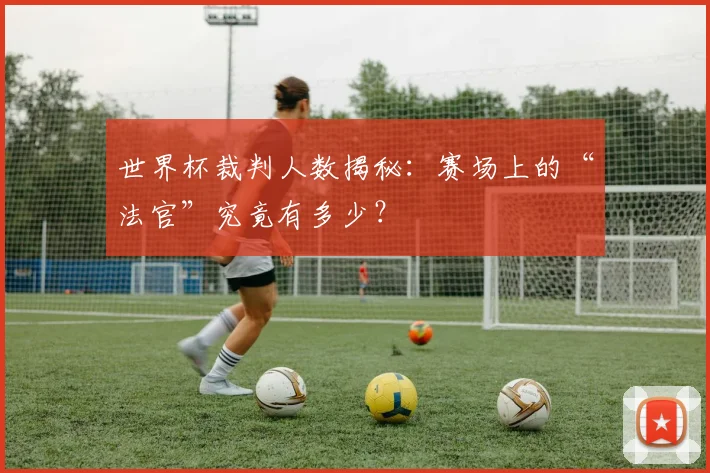 世界杯裁判人数揭秘：赛场上的“法官”究竟有多少？