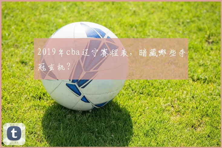 2019年cba辽宁赛程表，暗藏哪些夺冠玄机？