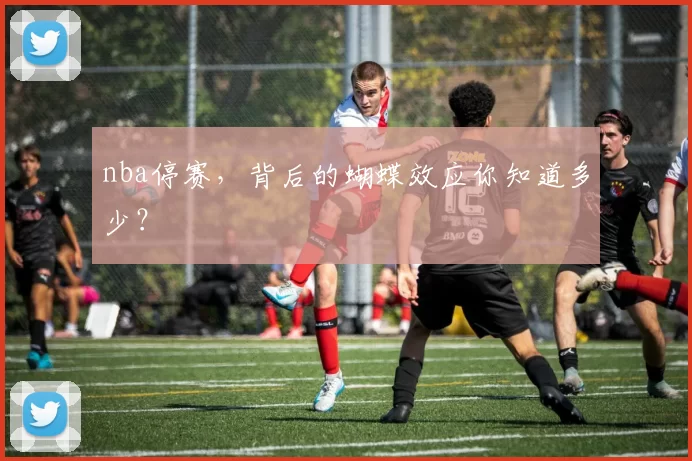 nba停赛,背后的蝴蝶效应你知道多少?