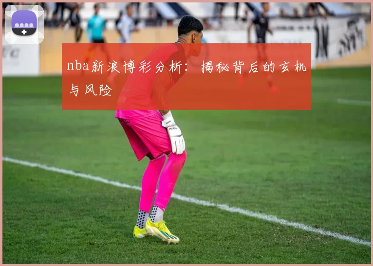 nba新浪博彩分析：揭秘背后的玄机与风险